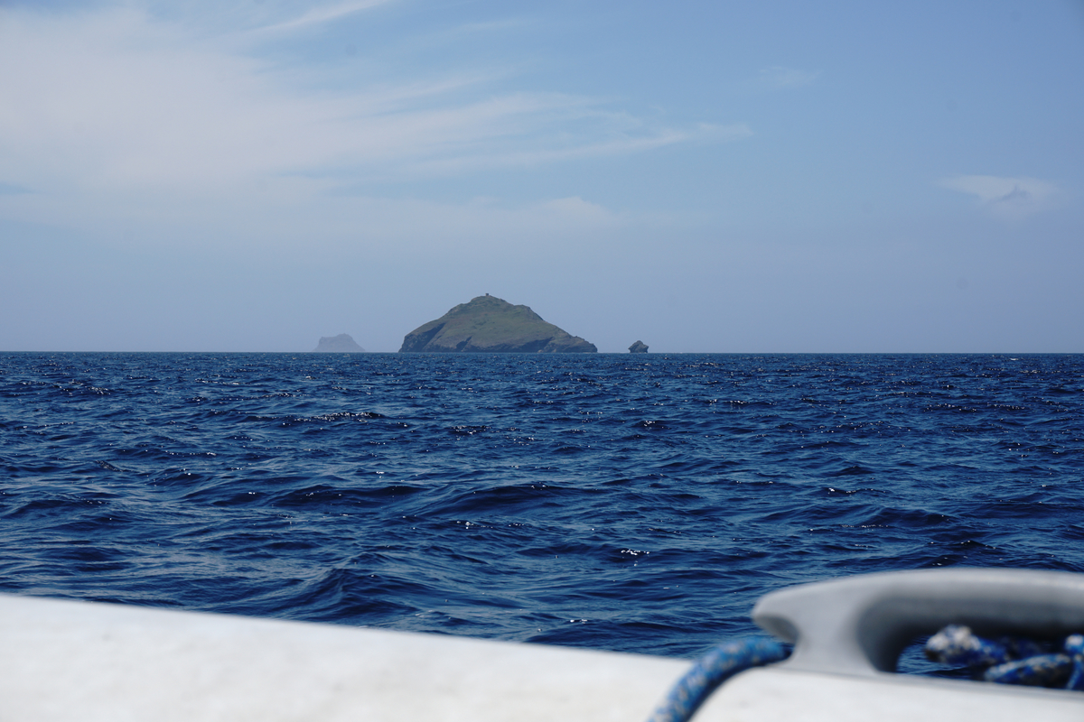 Islets South of Sant'Antioco: the Bull, the Cow, and the Veal!