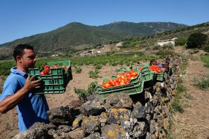 Scopri di più sull'articolo #24 Pantelleria – Partenza